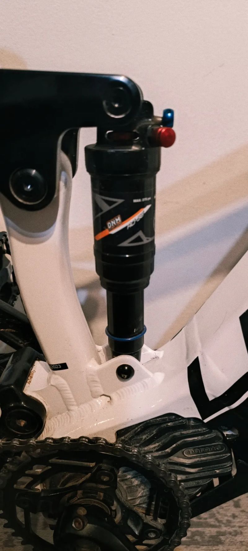 Leader Fox Acron 2023