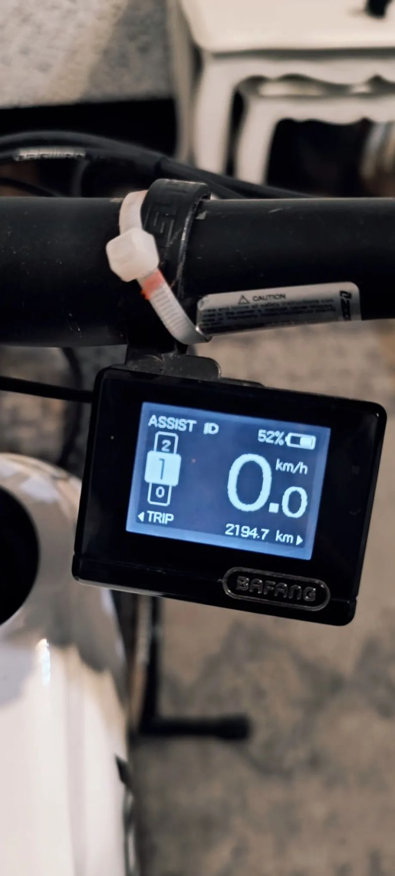 Leader Fox Acron 2023