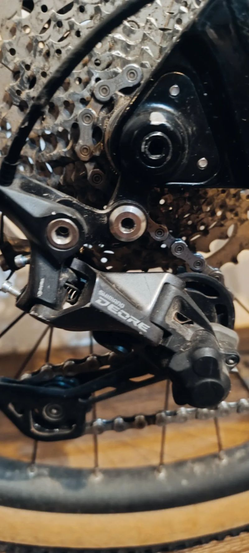 Leader Fox Acron 2023