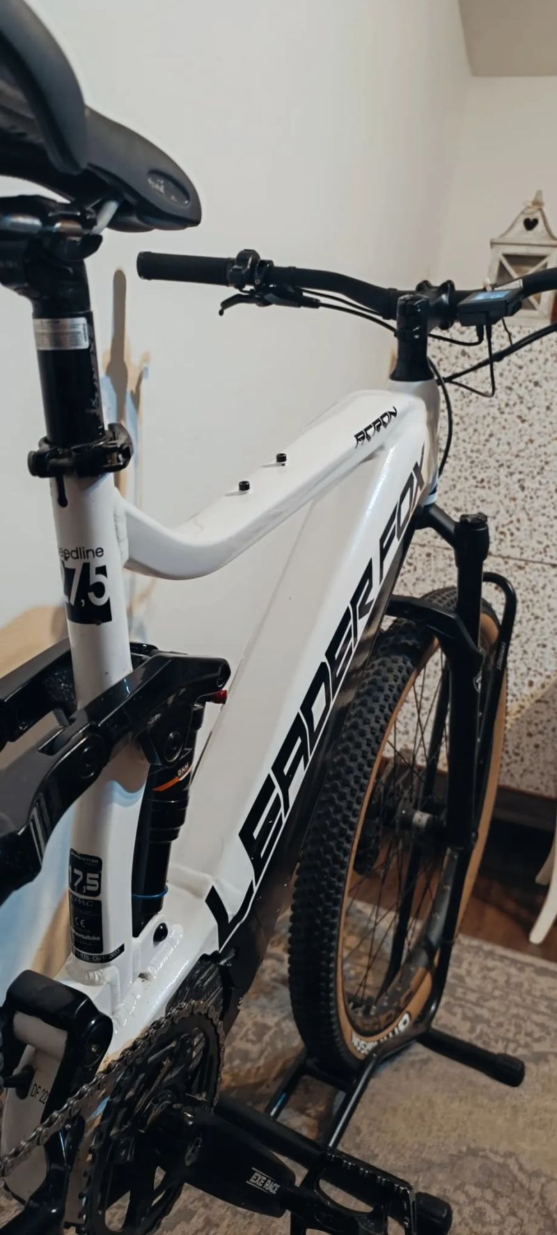 Leader Fox Acron 2023