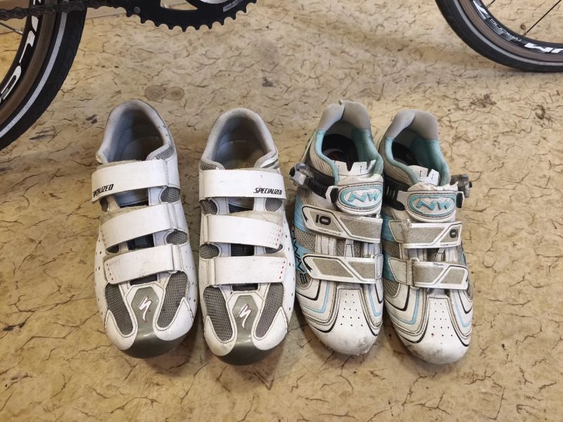 Bianchi Sempre pro carbon