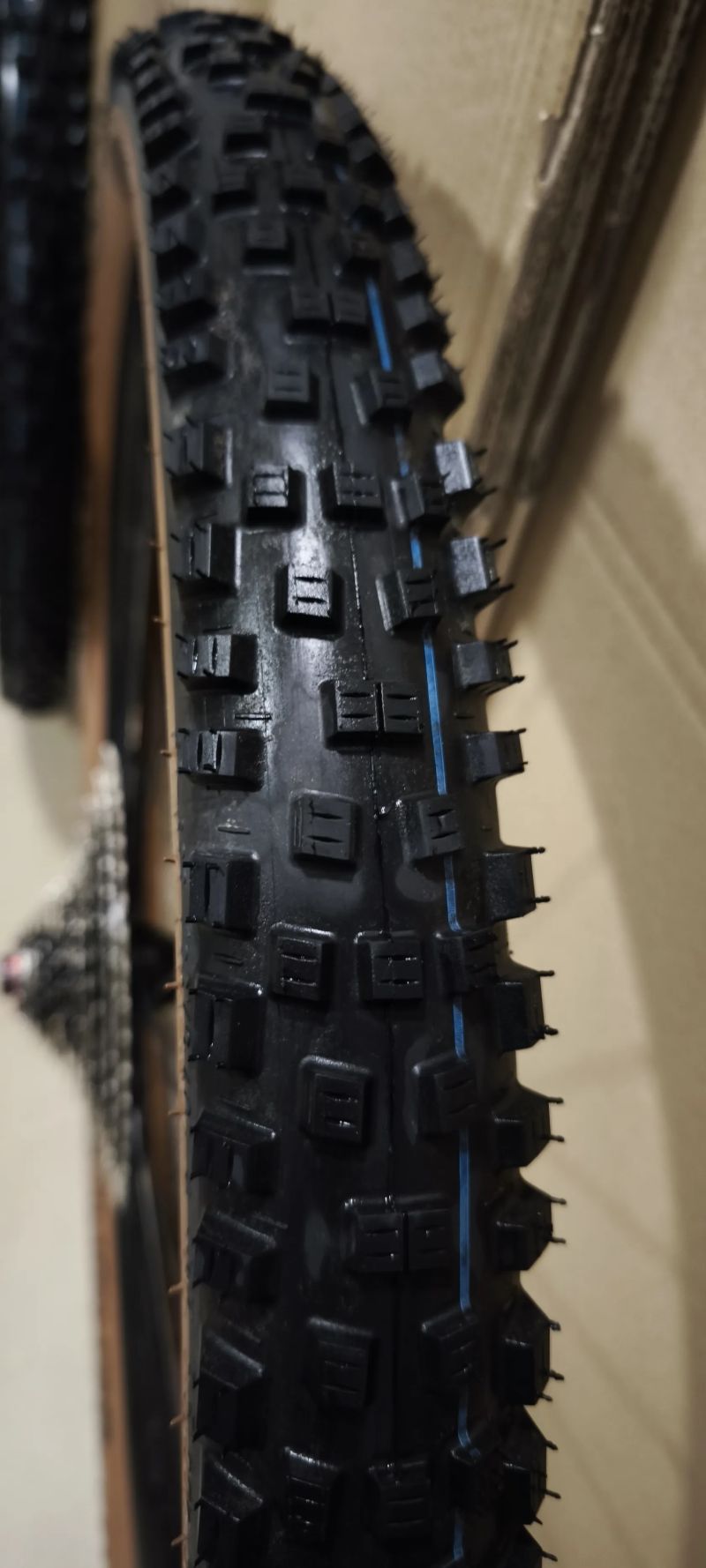 Zapletena kola Orbea OC