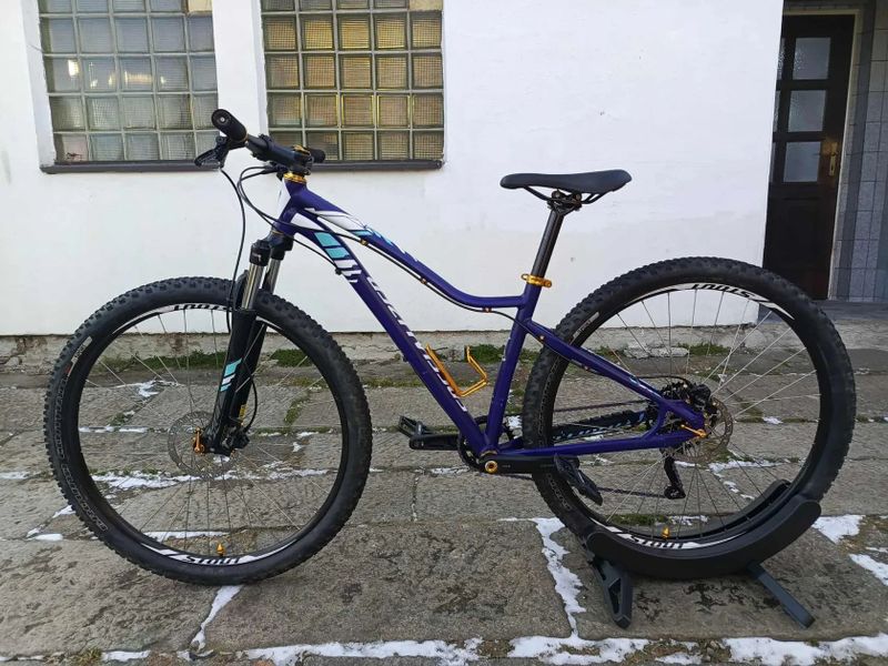 Specialized Jett 29' (vel. 17'')