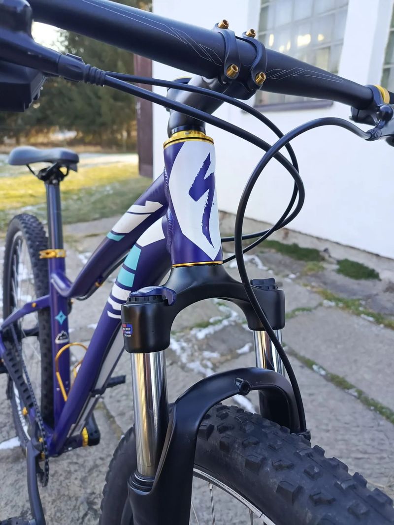 Specialized Jett 29' (vel. 17'')