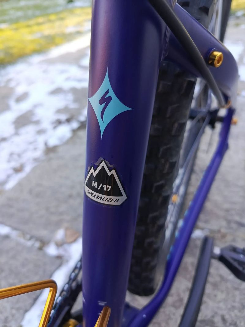 Specialized Jett 29' (vel. 17'')