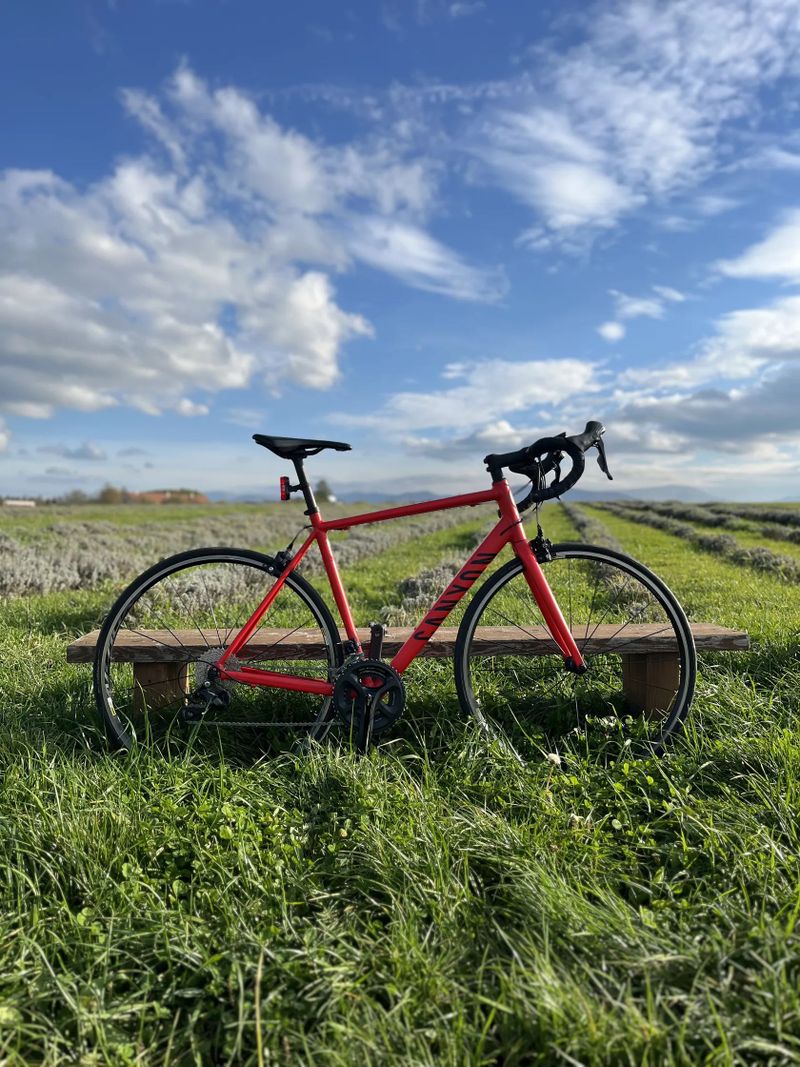 Canyon Endurace AL 7.0 Shimano 105 / Sleva do vánoc