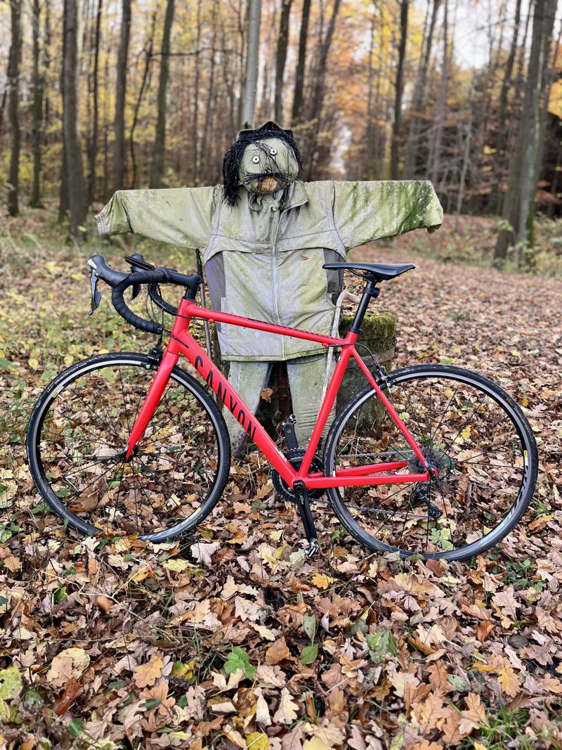 Canyon Endurace AL 7.0 Shimano 105 / Sleva do vánoc