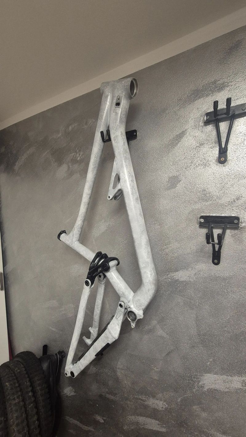 Specialized Status 160