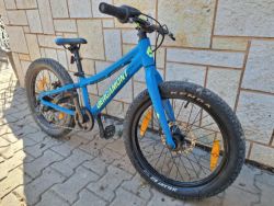 Bergamont Bergamonster 20 plus