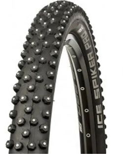 Schwalbe