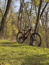 Norco Range C2 