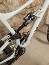 Specialized Status 160