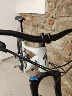 Specialized Status 160