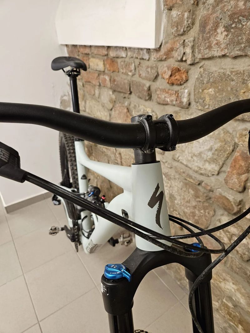 Specialized Status 160