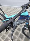 Horské kolo Canyon Strive CF 6.0 Carbon 2019 29″ velikost L