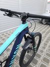 Horské kolo Canyon Strive CF 6.0 Carbon 2019 29″ velikost L