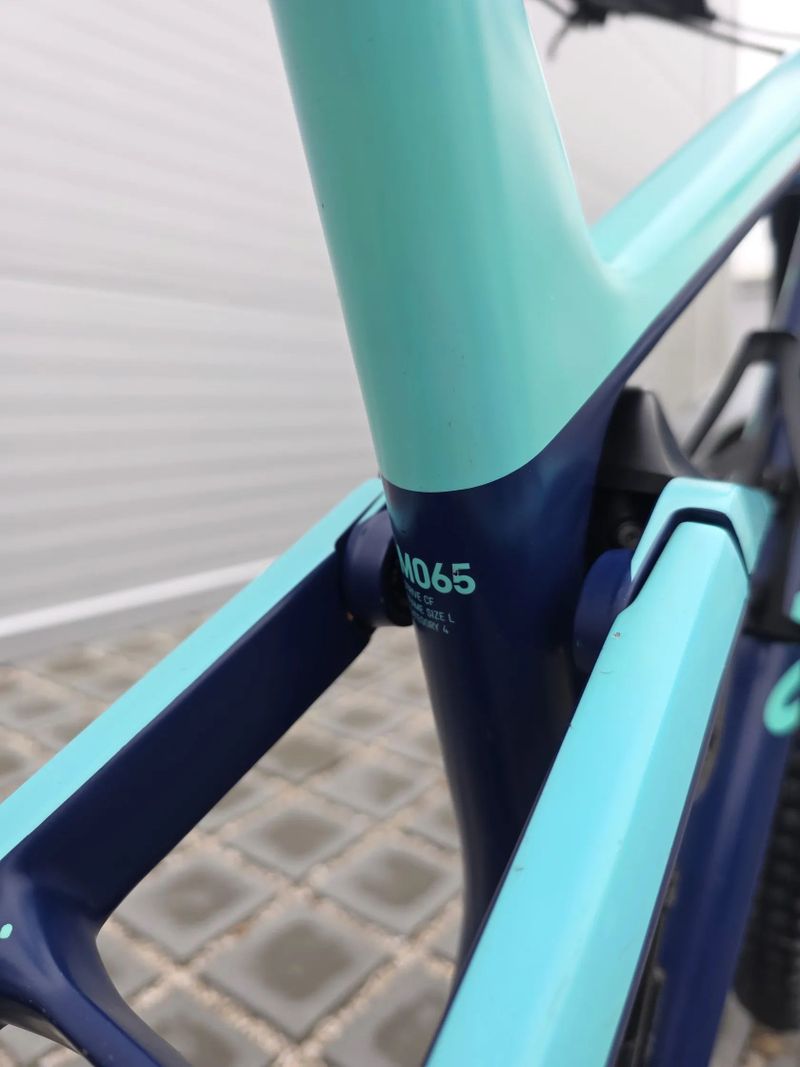 Horské kolo Canyon Strive CF 6.0 Carbon 2019 29″ velikost L