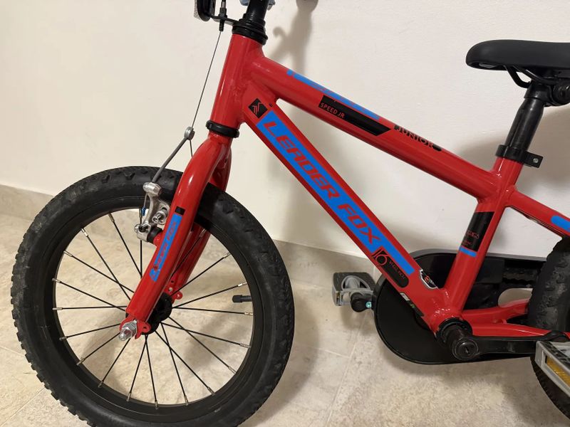 Leader Fox Snake 16”