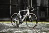 Wilier Filante SL 2025 "XL", Campagnolo Super Record WRL 2x12, Campagnolo Shamal Carbon