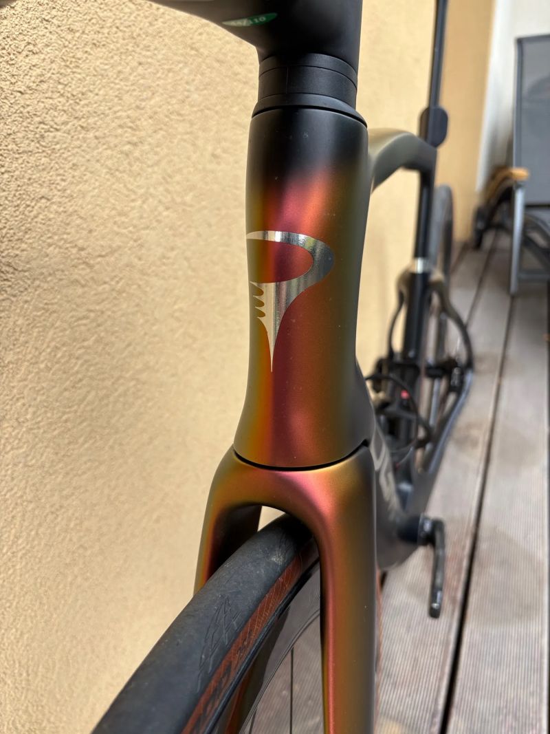 Pinarello Dogma F | 55 | 2025 | Campagnolo