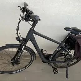 E-bike Leader Fox Forenza 2018