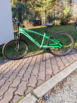 Leader Fox Spider 24 Boy