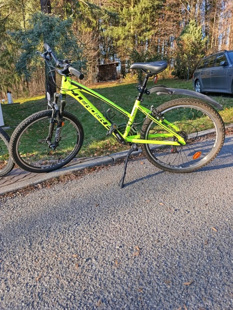 Leader Fox Spider 24 Boy