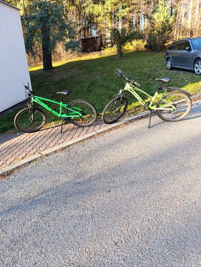 Leader Fox Spider 24 Boy