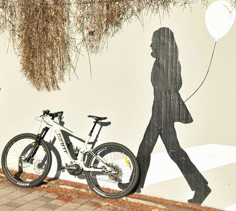 Giant Giant Stance E+1 29ER