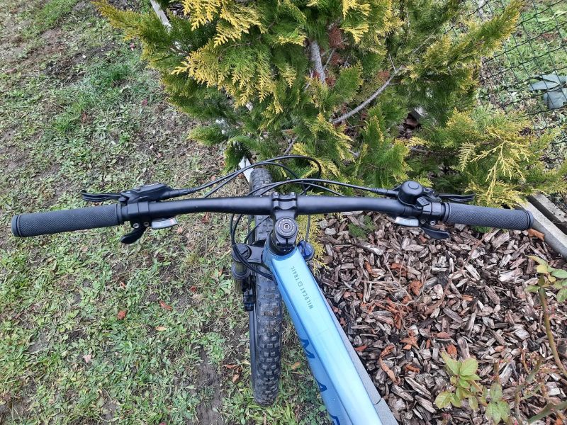 Marin Wildcat Trail 3