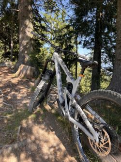 Propain Spindrift Al