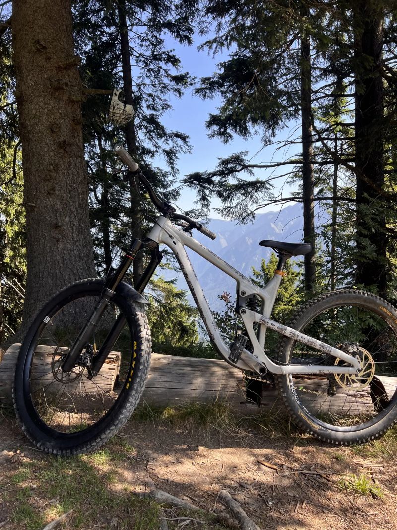 Propain Spindrift Al