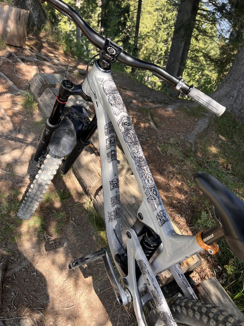 Propain Spindrift Al