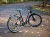 E-bike Diamant Zouma Deluxe+