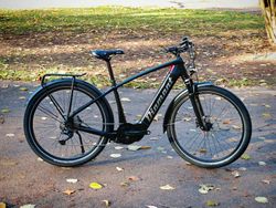 E-bike Diamant Zouma Deluxe+