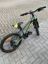 Kellys Lumi 50 green 20"