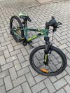 Kellys Lumi 50 green 20"
