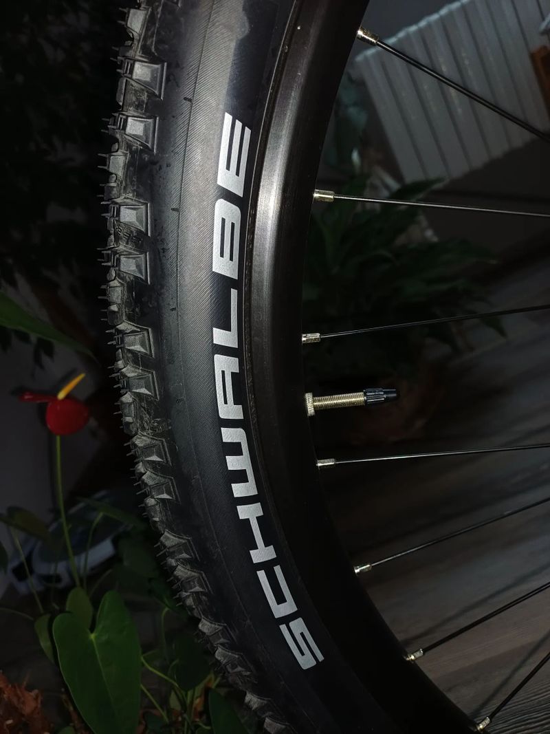 Schwalbe