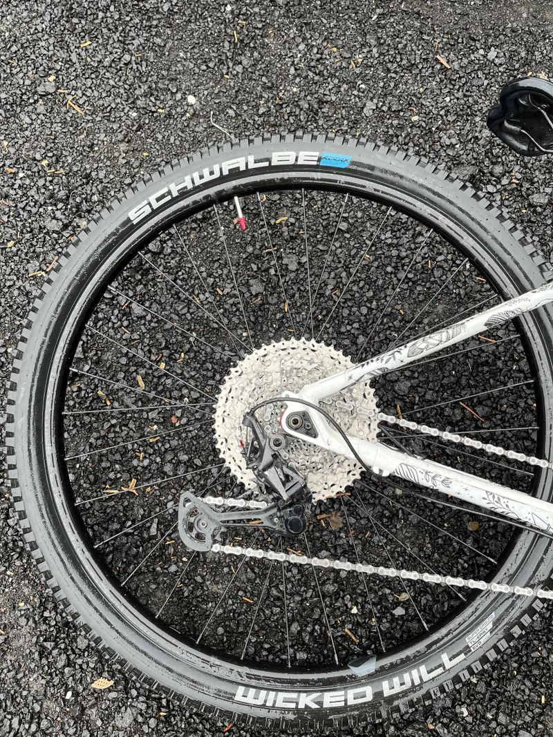 Canyon Grand Canyon 8 WMN