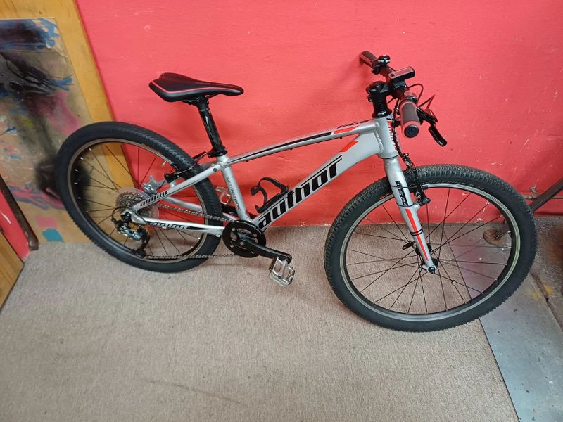 Author Ultrasonic 24