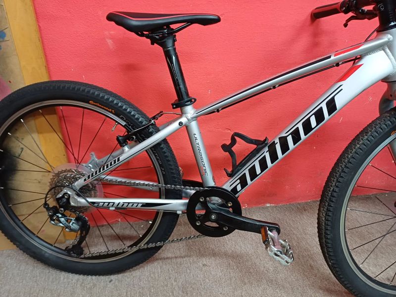 Author Ultrasonic 24