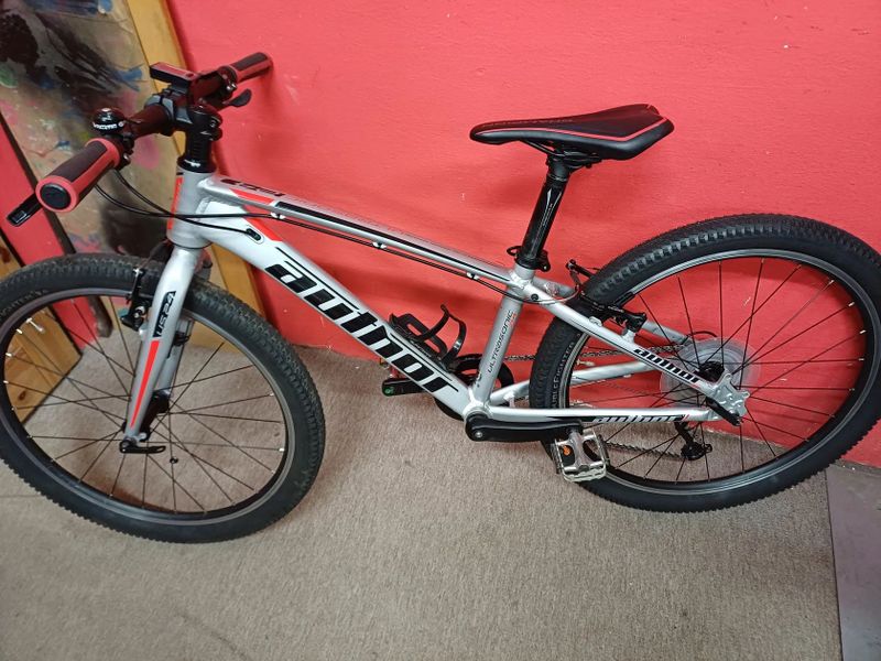 Author Ultrasonic 24