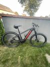 Trek Powerfly5