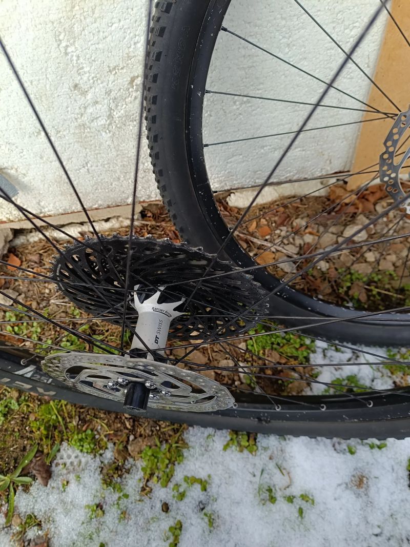 DT Swiss 1700 29"