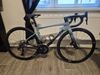 Bianchi Specialissima Pro vel.47