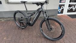 Focus THRON2 6.6 2026