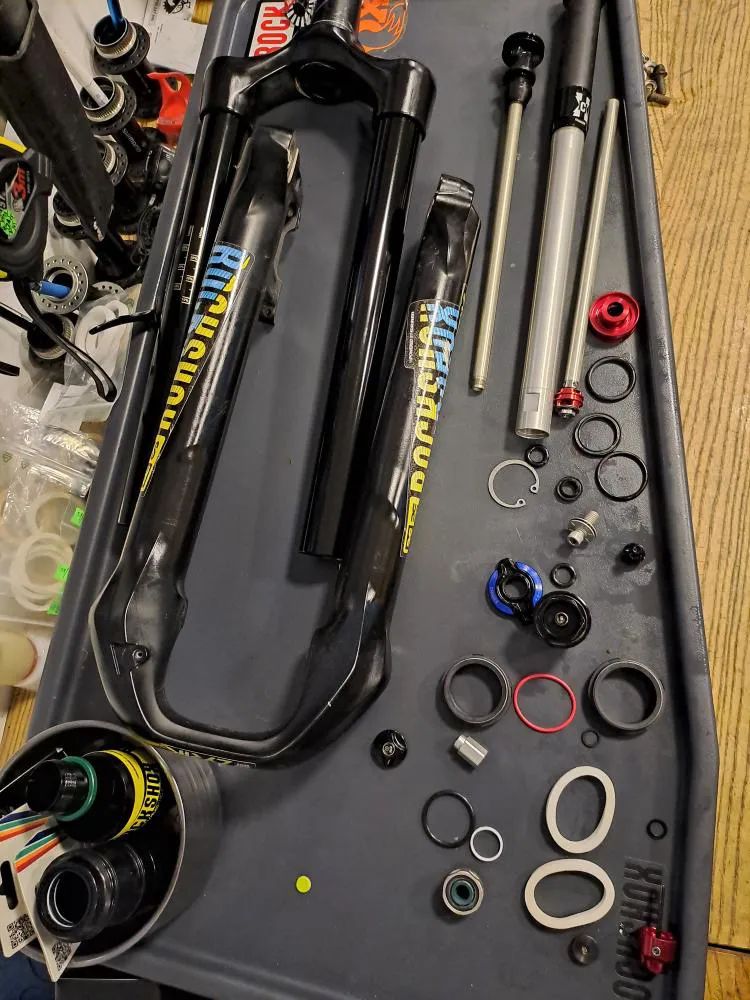 Canyon Strive AL 5.0 Race