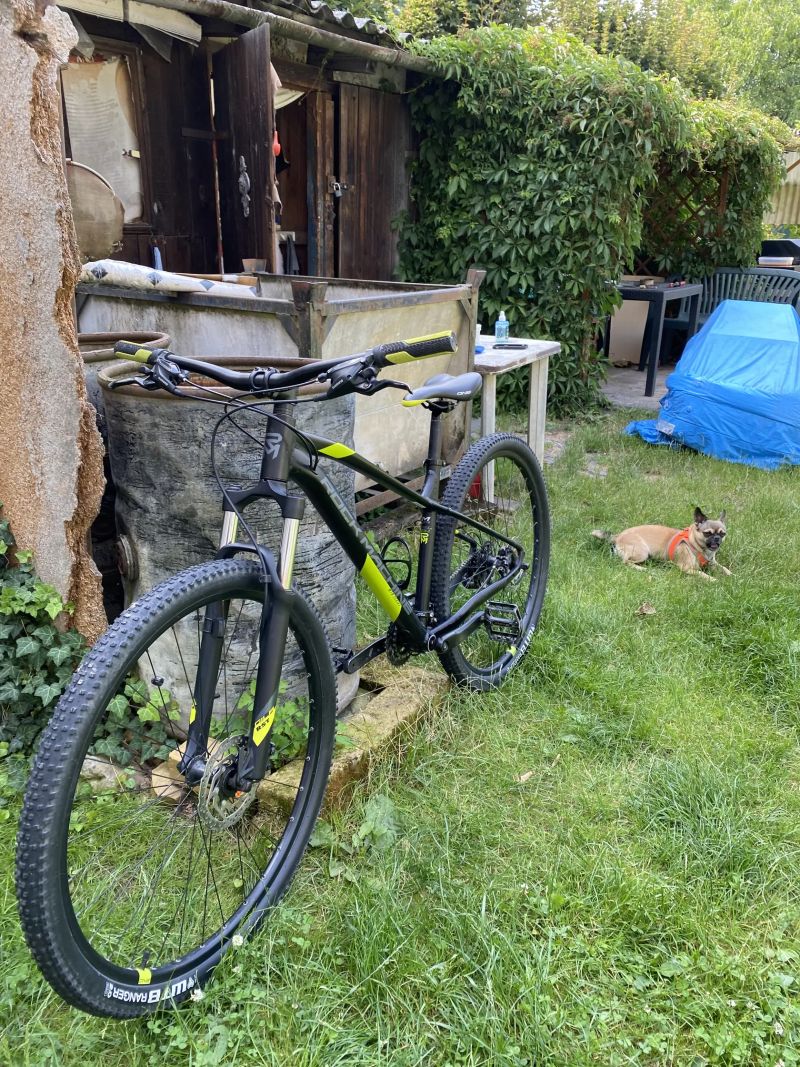 Rock machine manhattan