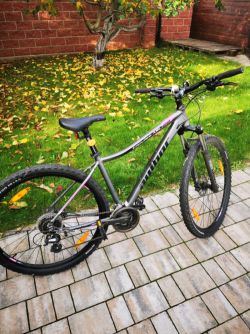 AUTHOR impulse ASL 29