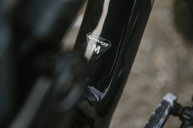 Pivot Cycles Phoenix 29 “NOVÝ”